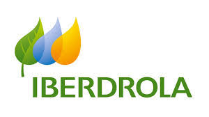 شركة Iberdrola، الرائدة