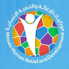 منظمة موزاييك