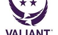 قائد موقع – بغداد | Valiant Integrated Services