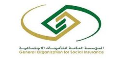 فرص تدريب في التأمينات – برنامج تمهير للخريجين
