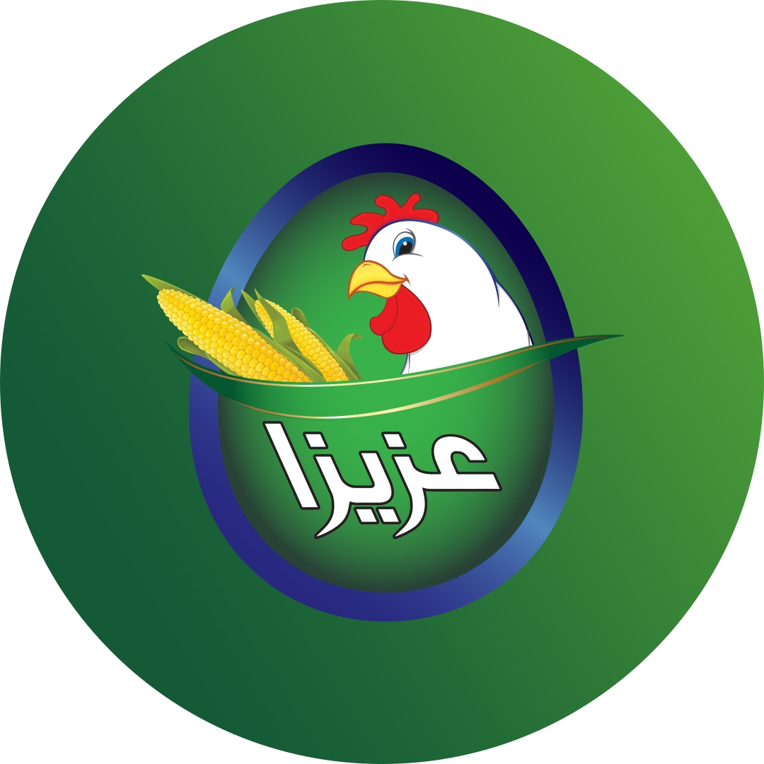 دجاج عزيزا Aziza Chicken