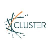 شركة Cluster Consulting