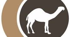 فرص عمل بالرياض – مدير تسويق ومحتوى رقمي