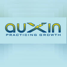 Auxin Solutions