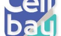وظائف CellBay – مدير معرض 2025