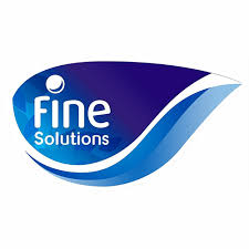Fine Solutions