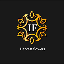 Harvest Amman