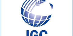 وظيفة نائب الرئيس للشؤون التجارية IGC عُمان 2025