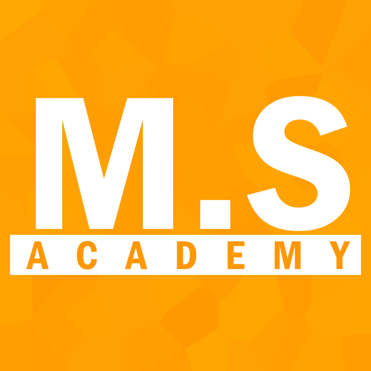 M.S Academy