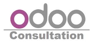 Odoo Consultant