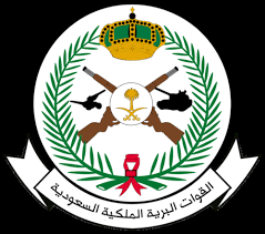 القوات البرية