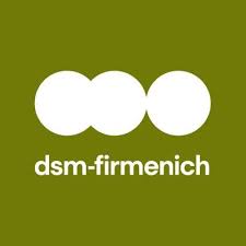 dsm firmenich