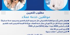 وظائف خدمة عملاء في المعادي براتب ثابت وحوافز شهرية مجزية