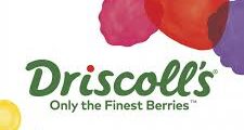 وظائف Driscoll’s المغرب: Internal Auditor بمجال سلامة الغذاء