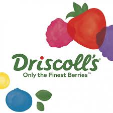 Driscolls