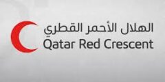وظائف إدخال بيانات في إدلب – فرصة الهلال الأحمر