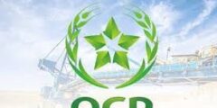 مجموعة OCP المغربية: رائدة الفوسفات والأسمدة عالميًا