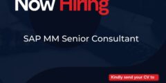 مطلوب فورًا: SAP MM Senior Consultant – Infinity مصر 2026