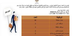 عاجل يوم وظيفي وزارة العمل المفرق 16 فبراير 2026