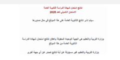 نتائج التوجيهي التكميلية 2025 في الأردن: اعرف نتيجتك الآن عبر موقع وزارة التربية