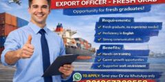 مطلوب Export Officer حديث التخرج في مصر – تدريب وفرص نمو 2026