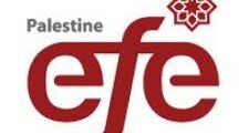 وظائف مدير مالي في رام الله لدى EFE Palestine 2026