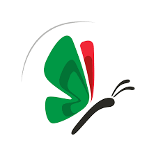 نُعلِّم لفلسطين