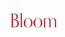 موظف مركز اتصال في أبوظبي لدى Bloom Holding