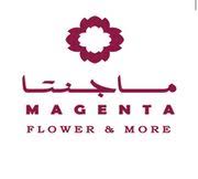 magenta flowers oman