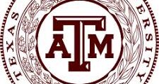 أستاذ هندسة حاسوب في الدوحة لدى Texas A&M
