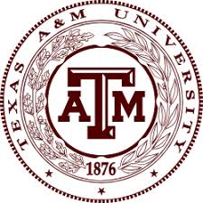 texas a&m university