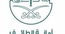 وظائف أمانة محافظة الطائف عبر منصة مسار
