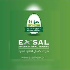 شركة إكسال الدولية للتجارة